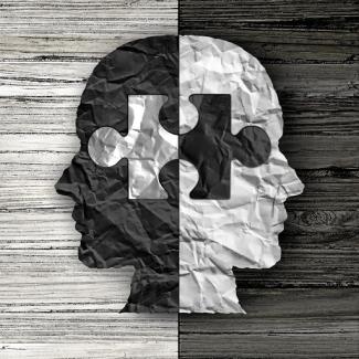 Görselde, ortadan ikiye ayrılmış, biri siyah biri beyaz renkte iki insan başı silüeti görülüyor. Bu iki baş, tam ortada birbirine geçen, biri siyah biri beyaz iki yapboz parçasıyla birleşmiş durumda. Arka planda başların renkleriyle uyumlu olarak, siyah tarafın arkası açık renk, beyaz tarafın arkası koyu renk ahşap dokusunda. Görselde bir zıtlık ve bütünlük hissi var.